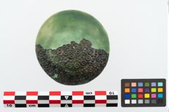 Foto von Bronzetutulusscheibenfibel (NHMW-PRAE-025122)